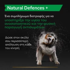 Purina Pro Plan Dog Natural Defences + Συμπλήρωμα Διατροφής Σκύλου Για Φυσική Άμυνα Σε Δισκία 67gr 11 Purina Pro Plan Dog Natural Defences + Συμπλήρωμα Διατροφής Σκύλου Για Φυσική Άμυνα Σε Δισκία 67gr -Προμήθειες Για Κατοικίδια Κατάστημα πωλήσεων purina pro plan dog natural defences sympliroma diatrofis skuloy gia fysiki amyna se diskia 67gr petshop88 3 1000x1000 1