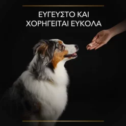 Purina Pro Plan Dog Natural Defences + Συμπλήρωμα Διατροφής Σκύλου Για Φυσική Άμυνα Σε Δισκία 67gr 13 Purina Pro Plan Dog Natural Defences + Συμπλήρωμα Διατροφής Σκύλου Για Φυσική Άμυνα Σε Δισκία 67gr -Προμήθειες Για Κατοικίδια Κατάστημα πωλήσεων purina pro plan dog natural defences sympliroma diatrofis skuloy gia fysiki amyna se diskia 67gr petshop88 6 1000x1000 1