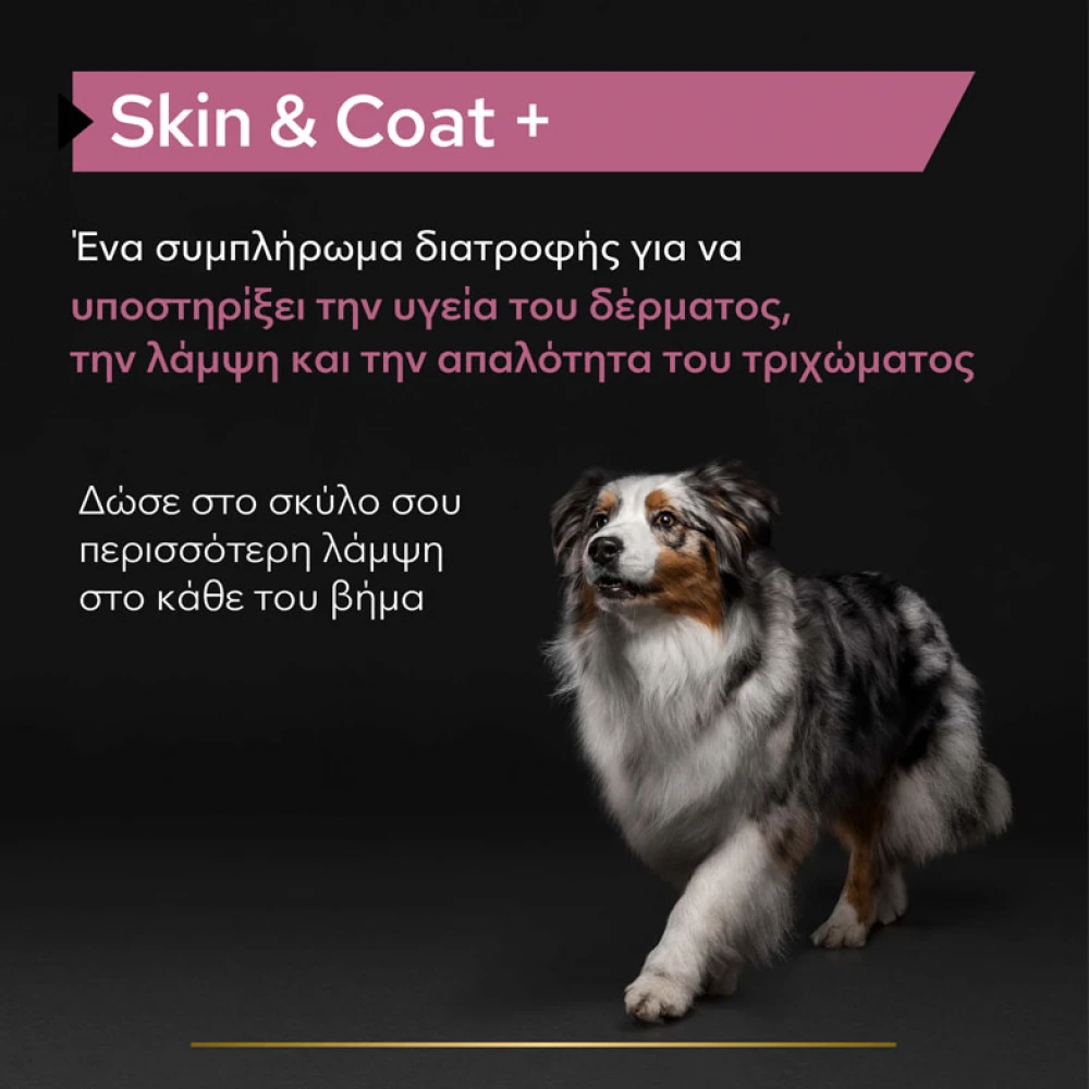 Purina Pro Plan Dog Skin & Coat + Συμπλήρωμα Διατροφής Σκύλου Για Δέρμα Και Τρίχωμα Σε Έλαιο 250ml 3 Purina Pro Plan Dog Skin & Coat + Συμπλήρωμα Διατροφής Σκύλου Για Δέρμα Και Τρίχωμα Σε Έλαιο 250ml - Image 3