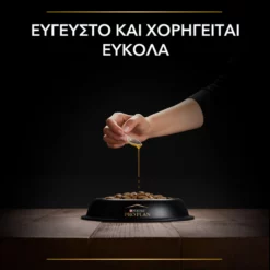 Purina Pro Plan Dog Skin & Coat + Συμπλήρωμα Διατροφής Σκύλου Για Δέρμα Και Τρίχωμα Σε Έλαιο 250ml 12 Purina Pro Plan Dog Skin & Coat + Συμπλήρωμα Διατροφής Σκύλου Για Δέρμα Και Τρίχωμα Σε Έλαιο 250ml -Προμήθειες Για Κατοικίδια Κατάστημα πωλήσεων purina pro plan dog skin and coat sympliroma diatrofis skuloy gia derma kai trichoma se elaio 250ml petshop88 5 1000x1000 1