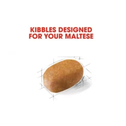 Royal Canin Maltese Adult 1,5kg -Προμήθειες Για Κατοικίδια Κατάστημα πωλήσεων rc bhn maltese cv eretailkit 2 3 1000x1000w