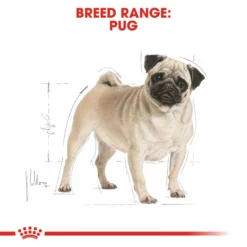 Royal Canin Pug Adult 1,5kg -Προμήθειες Για Κατοικίδια Κατάστημα πωλήσεων rc bhn pug cv eretailkit 1 6 1000x1000 1