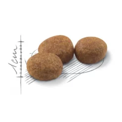 Royal Canin Cat Sterilised 4kg 7 Royal Canin Cat Sterilised 4kg -Προμήθειες Για Κατοικίδια Κατάστημα πωλήσεων rc fhn sterilised37 cv eretailkit 3 8 1000x1000w 1