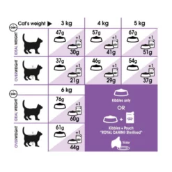 Royal Canin Cat Sterilised 2kg -Προμήθειες Για Κατοικίδια Κατάστημα πωλήσεων rc fhn sterilised37 cv eretailkit 4 0 1000x1000w