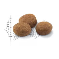 Royal Canin Cat Sterilised +7 1,5kg -Προμήθειες Για Κατοικίδια Κατάστημα πωλήσεων rc fhn sterilised7 cv eretailkit 3 3 1000x1000w