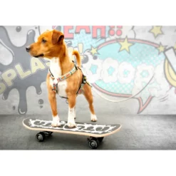 Επιστήθιο Max & Molly Comic XSmall 1x32-40cm -Προμήθειες Για Κατοικίδια Κατάστημα πωλήσεων reBKoDOI 1000x1000w