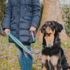 Λουρί - Οδηγός Max & Molly Retro Blue Large 2,5x120cm 10 Λουρί - Οδηγός Max & Molly Retro Blue Large 2,5x120cm -Προμήθειες Για Κατοικίδια Κατάστημα πωλήσεων retro20blue20lifestyle 1000x1000 1