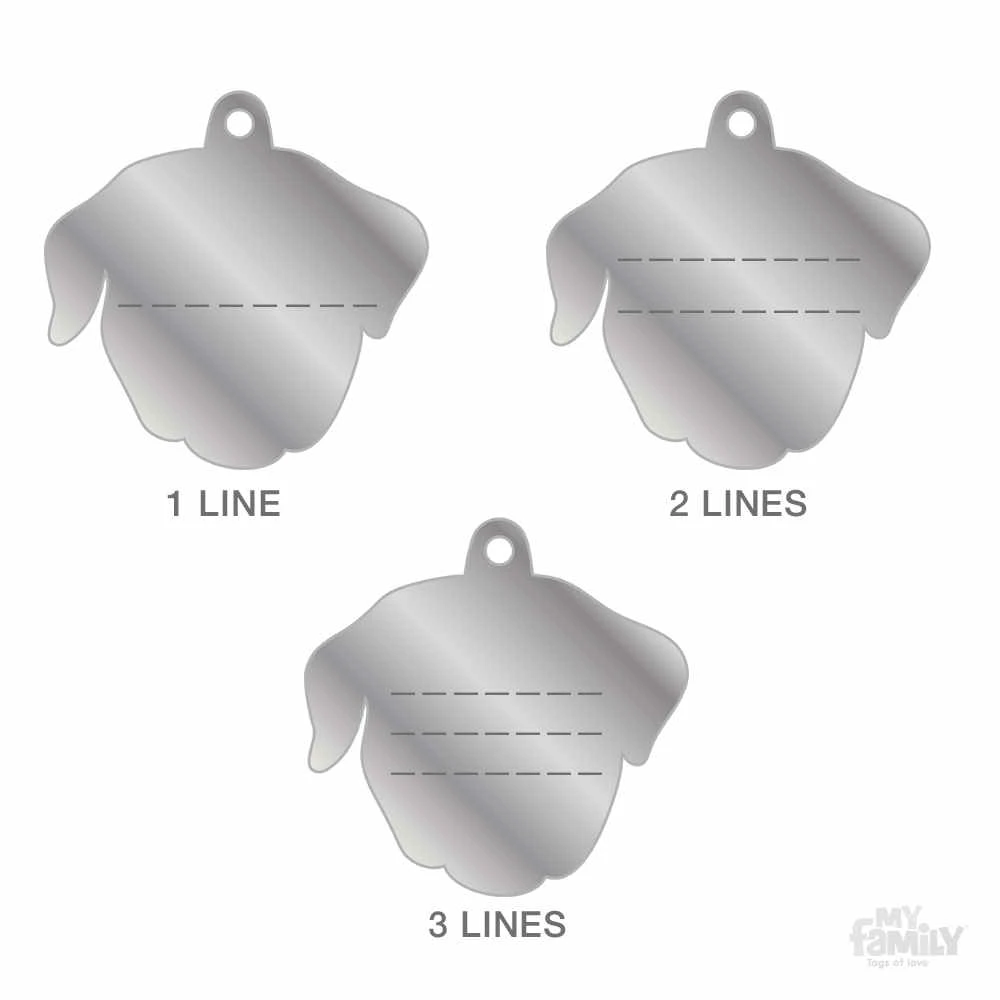 Ταυτότητα Σκύλου My Family Rottweiler 5 Ταυτότητα Σκύλου My Family Rottweiler - Image 5