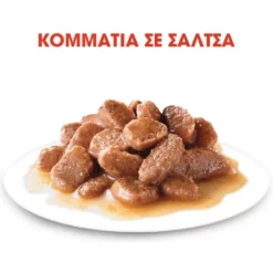 Royal Canin Urinary S/O Feline In Gravy 12x85gr (12τμχ) -Προμήθειες Για Κατοικίδια Κατάστημα πωλήσεων royal canin urinary s o feline 12x85gr petshop88 1000x1000w