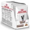 Royal Canin Cat GastroIntestinal Pouch 12x85gr (12τμχ)
