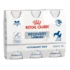 Royal Canin Recovery Liquid 3x200ml για σκύλους και γάτες
