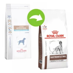 Royal Canin Gastro Intestinal Moderate Calorie 15kg -Προμήθειες Για Κατοικίδια Κατάστημα πωλήσεων royalcanin veterinarydiet moderatecalorie 1000x1000 1