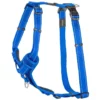 Σαμαράκι Σκύλου Rogz Utility Control Blue XLarge 2,5x60-100cm