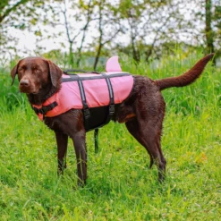 Σωσίβιο Θαλάσσης για Σκύλους Nobby Vest Shark Καρχαρίας Ροζ M 35cm 9 Σωσίβιο Θαλάσσης για Σκύλους Nobby Vest Shark Καρχαρίας Ροζ M 35cm -Προμήθειες Για Κατοικίδια Κατάστημα πωλήσεων sosivio thalassis gia skuloys nobby vest shark karcharias roz xs 25cm petshop88 5 1000x1000 1