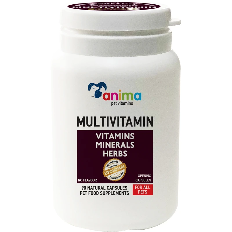Συμπλήρωμα Διατροφής Anima Pet Multivitamins 90 Κάψουλες Για Σκύλους Και Γάτες 1 Συμπλήρωμα Διατροφής Anima Pet Multivitamins 90 Κάψουλες Για Σκύλους Και Γάτες