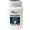 Συμπλήρωμα Διατροφής Anima Pet Vitamin Antioxidant 90 Κάψουλες Για Σκύλους Και Γάτες