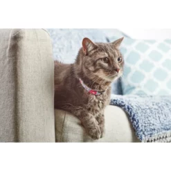 Περιλαίμιο Γάτας Max & Molly Cherry Bloom Cat 1x22-35cm -Προμήθειες Για Κατοικίδια Κατάστημα πωλήσεων tmhbPA4g 1 1000x1000w