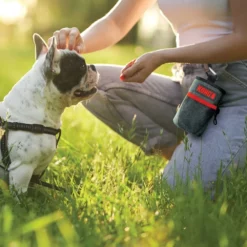 Kong Train & Treat Bag Τσαντάκι για εκπαίδευση Σκύλου -Προμήθειες Για Κατοικίδια Κατάστημα πωλήσεων treat bag 1200x1200.webp 1000x1000 1