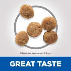 Hills Hill's Science Plan Small & Mini Senior 11+ για Σκύλους με Κοτόπουλο 1,5kg (1,2kg + 300gr Δώρο) 14 Hills Hill's Science Plan Small & Mini Senior 11+ για Σκύλους με Κοτόπουλο 1,5kg (1,2kg + 300gr Δώρο) -Προμήθειες Για Κατοικίδια Κατάστημα πωλήσεων uk dog senior s m chicken kibbles 0 1000x1000 1