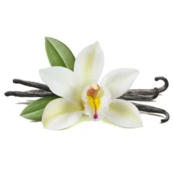 Petex Ενυδατικό Aρωμα Deadsea Γαλλική Βανίλια 100ml 5 Petex Ενυδατικό Aρωμα Deadsea Γαλλική Βανίλια 100ml -Προμήθειες Για Κατοικίδια Κατάστημα πωλήσεων vanilla 201 1000x1000w