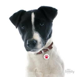 Ταυτότητα Σκύλου My Family Charms White Circle Red Paw -Προμήθειες Για Κατοικίδια Κατάστημα πωλήσεων ym061 1000x1000 1