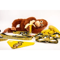 Λουρί - Οδηγός Max & Molly Monkey Maniac Small 1,5x120cm -Προμήθειες Για Κατοικίδια Κατάστημα πωλήσεων zqlS0xK4 1000x1000w