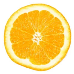 OEM Δροσιστικό Στρωματάκι Cool Orange Slice 60cm